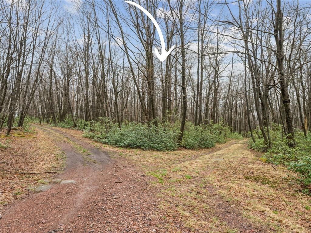 Lot 586 Zermatt Road Jenners, PA 15546 - Photo 1 of 10 a view of backyard with green space