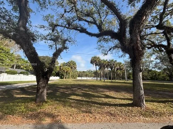 a view of a yard next to a large tree