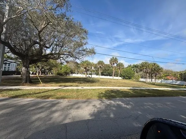 a view of yard with large tree