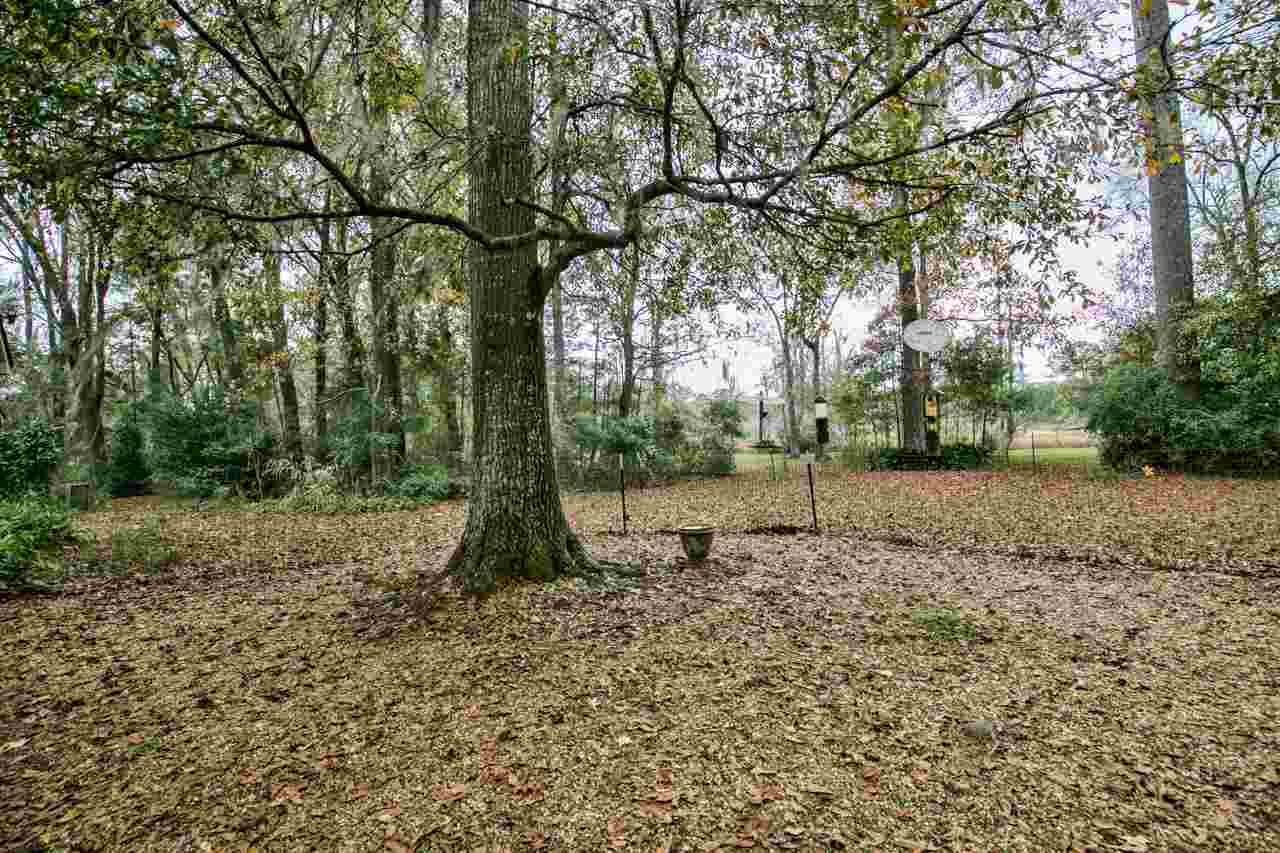 7520 Proctor Road Tallahassee, FL 32309 - Photo 32 of 36 Gallery Image 32