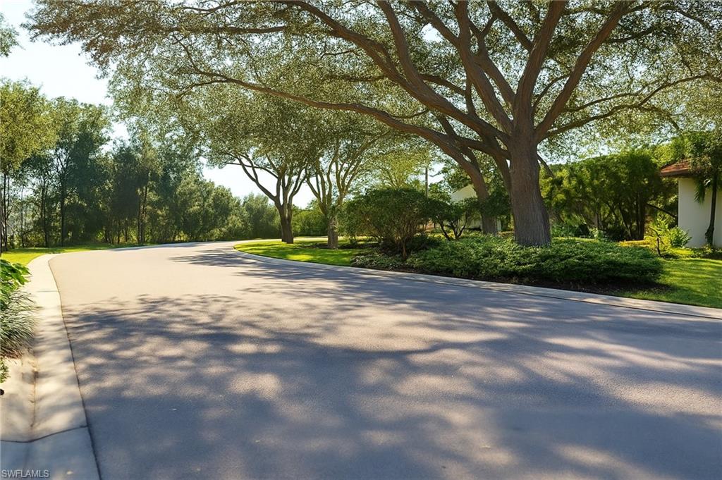 2451 Game Hawk Court, Unit 2502 Naples, FL 34105 - Photo 19 of 30 a view of road with trees