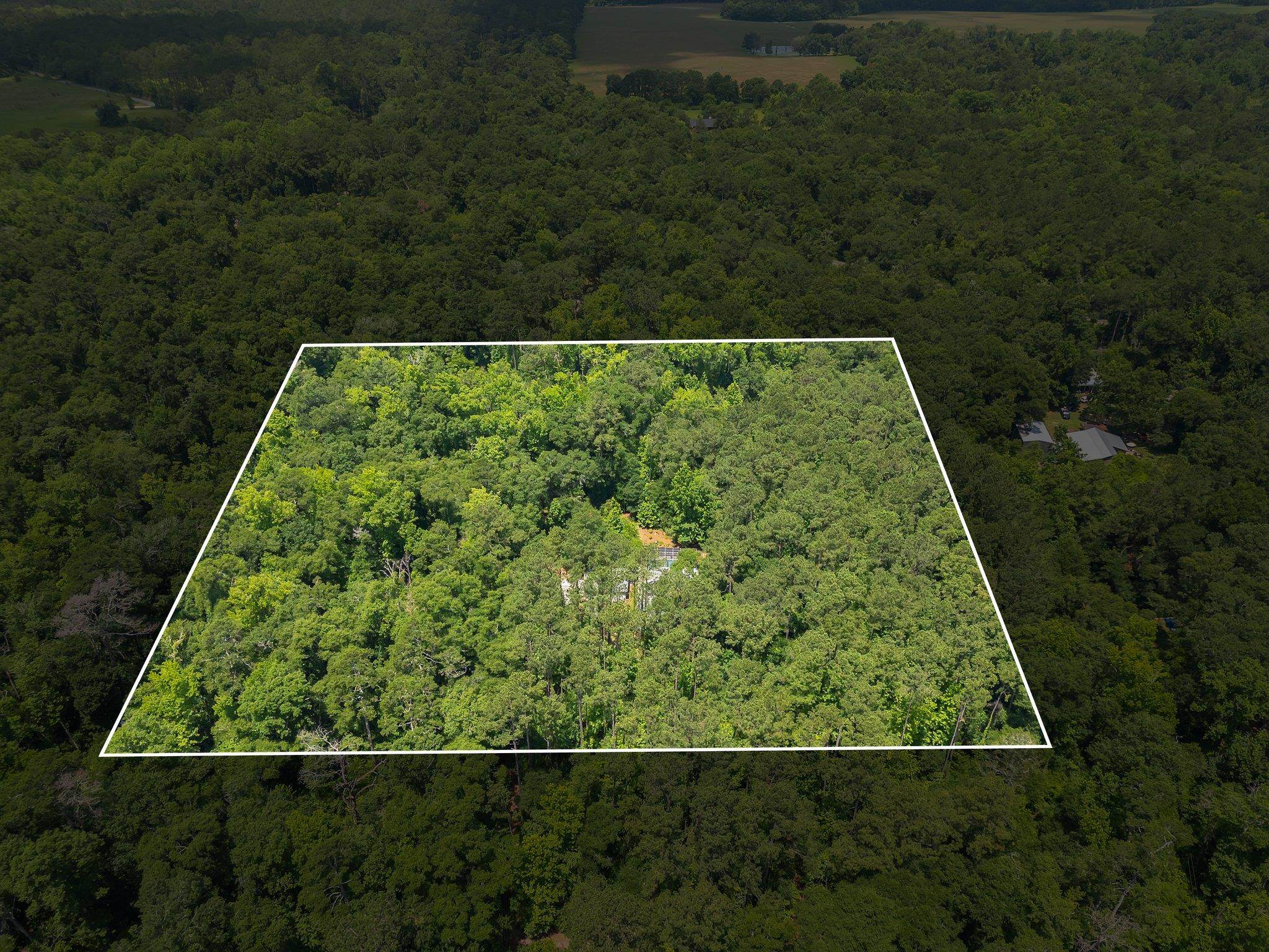 134 Small Pond Road Havana, FL 32333 - Photo 8 of 37