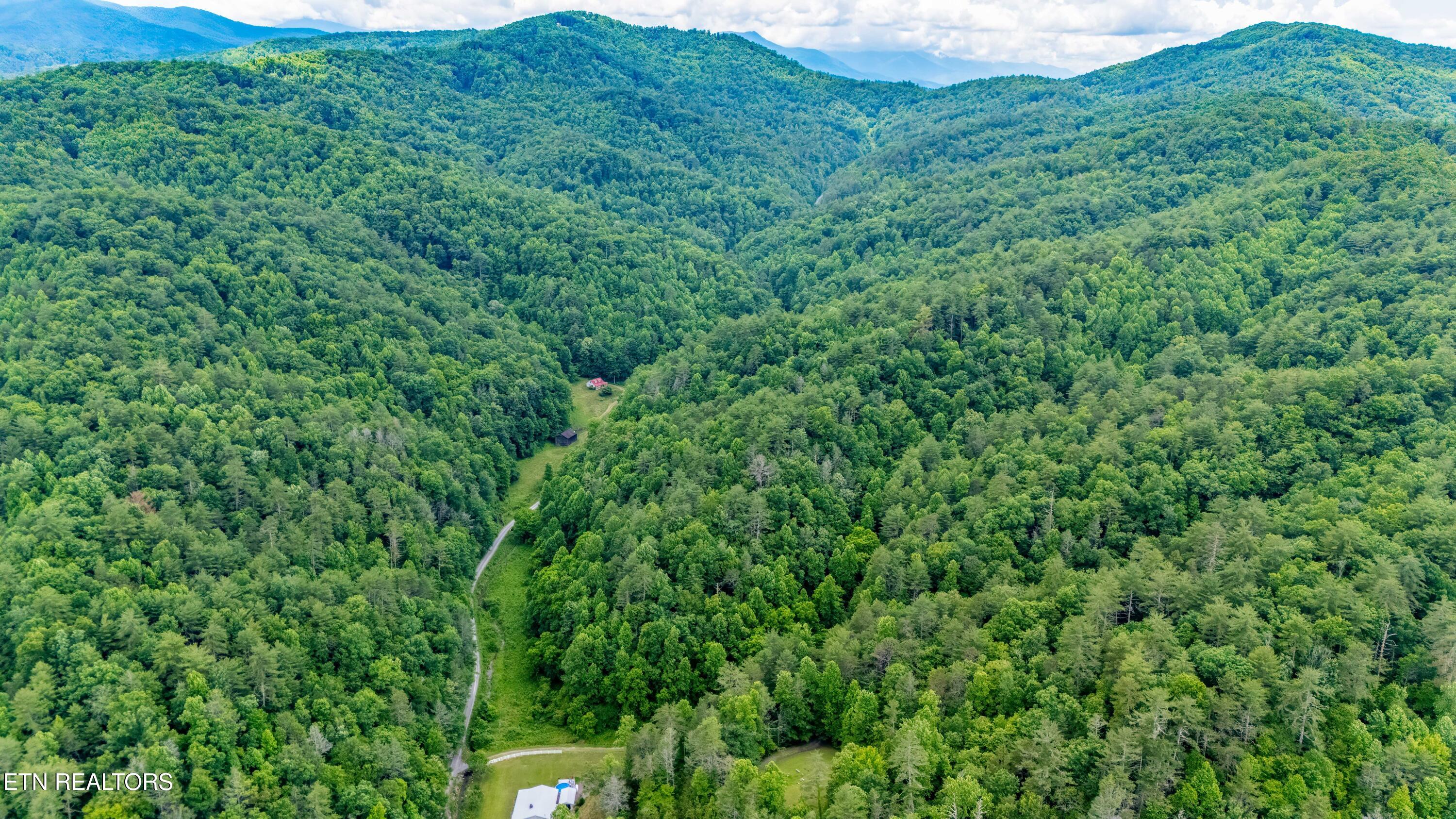 Johns Creek Road Del Rio, TN 37727 - Photo 17 of 17 DJI_20260602130822_0307_D-HDR-Edit-Edit