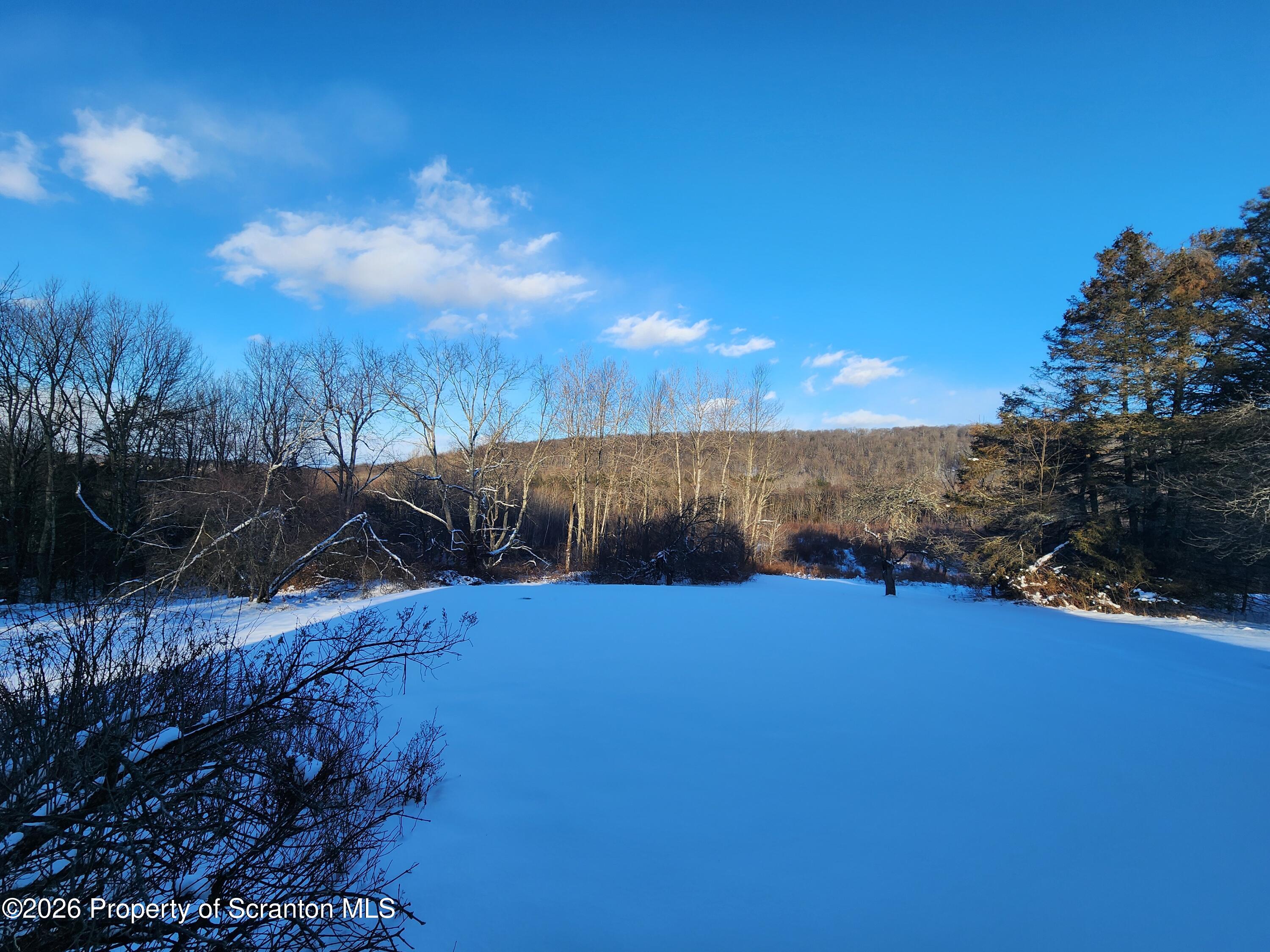 648 Dundaff Street Carbondale, PA 18407 - Photo 8 of 35 a view of a yard with outside space