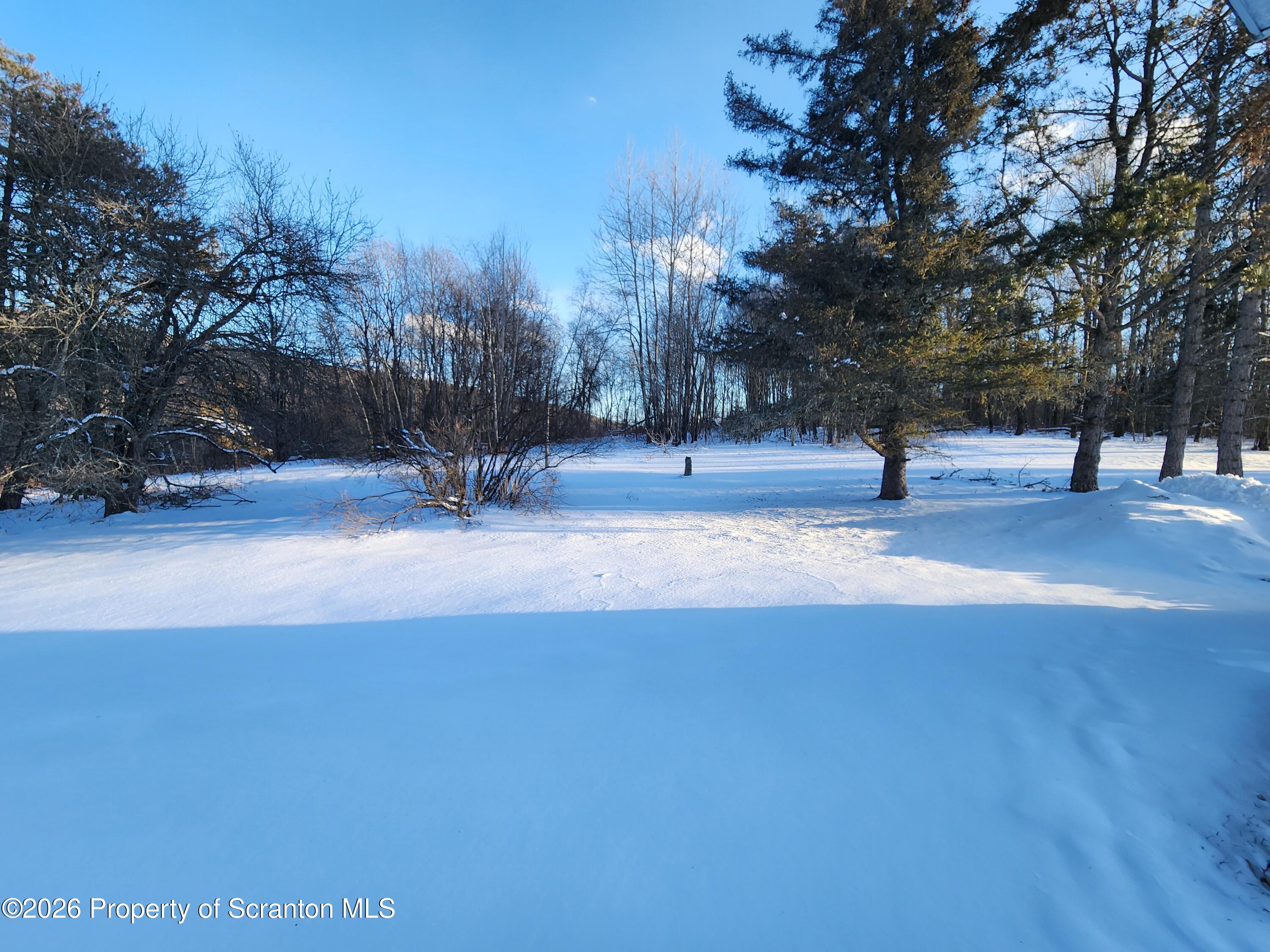 648 Dundaff Street Carbondale, PA 18407 - Photo 10 of 35 a house with trees in the background