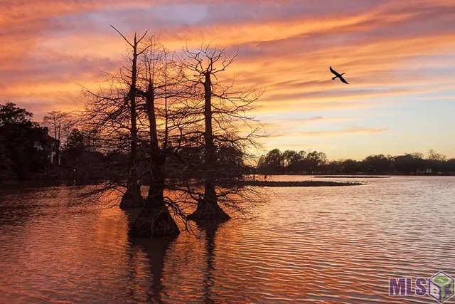 $3,480,000 | 2619 East Lakeshore Drive, Baton Rouge, LA 70808