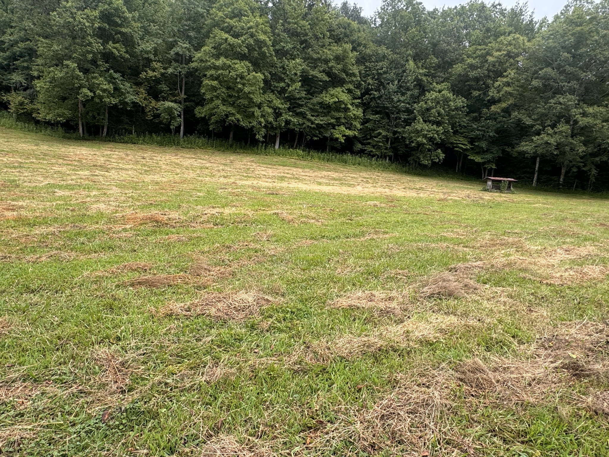 0 Upper Standing Rock Road Dover, TN 37058 - Photo 5 of 32 Gallery Image 5