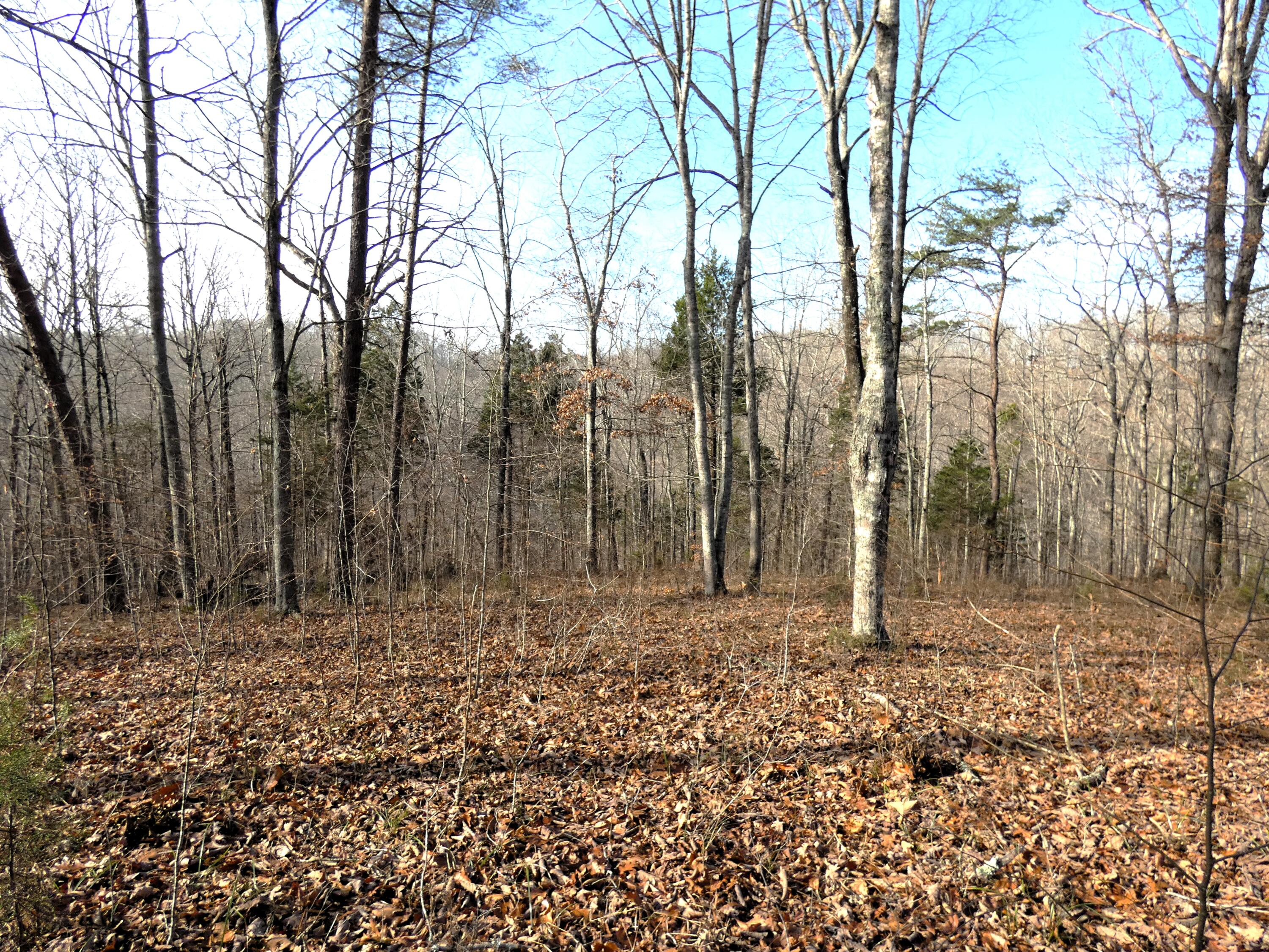 136 West Willow Point Road Monticello, KY 42633 - Photo 11 of 17 P1030111