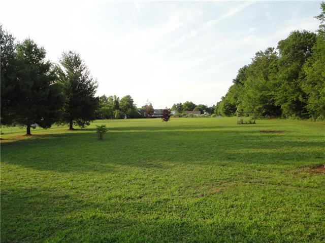 599 Parsons Road Christiana, TN 37037 - Photo 19 of 20 Oversized back yard