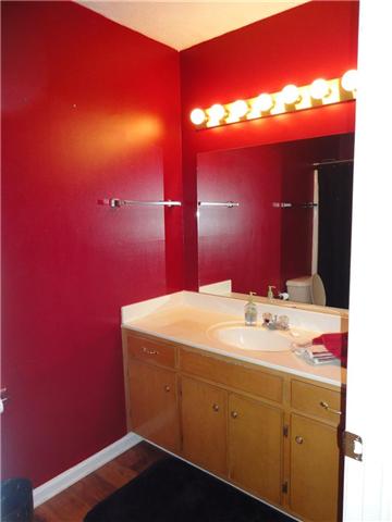 599 Parsons Road Christiana, TN 37037 - Photo 9 of 20 Guest bathroom is conveniently well lit.