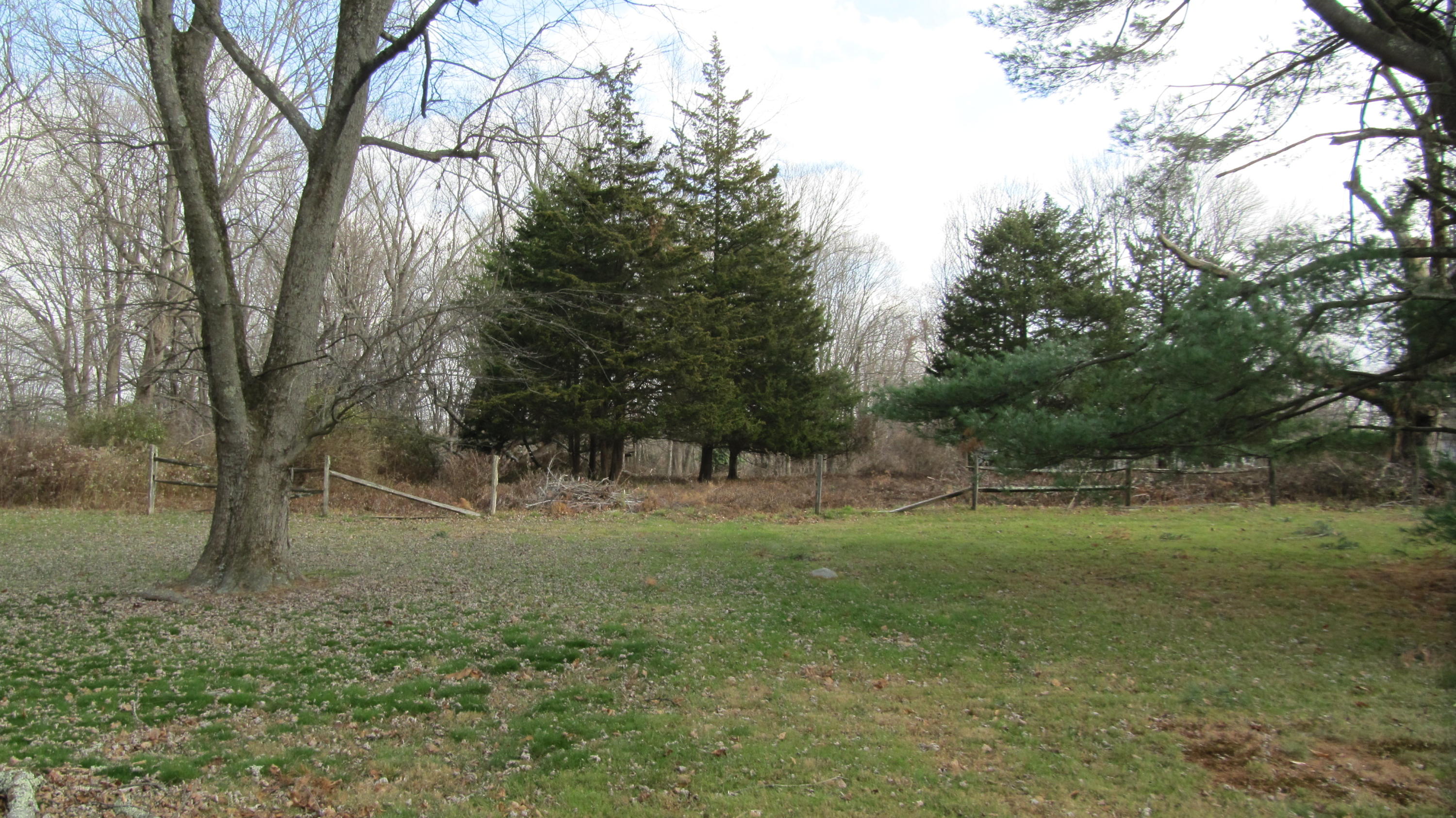 941 L Ponus Ridge Road New Canaan, CT 06840 - Photo 1 of 10 a view of outdoor space with trees all around
