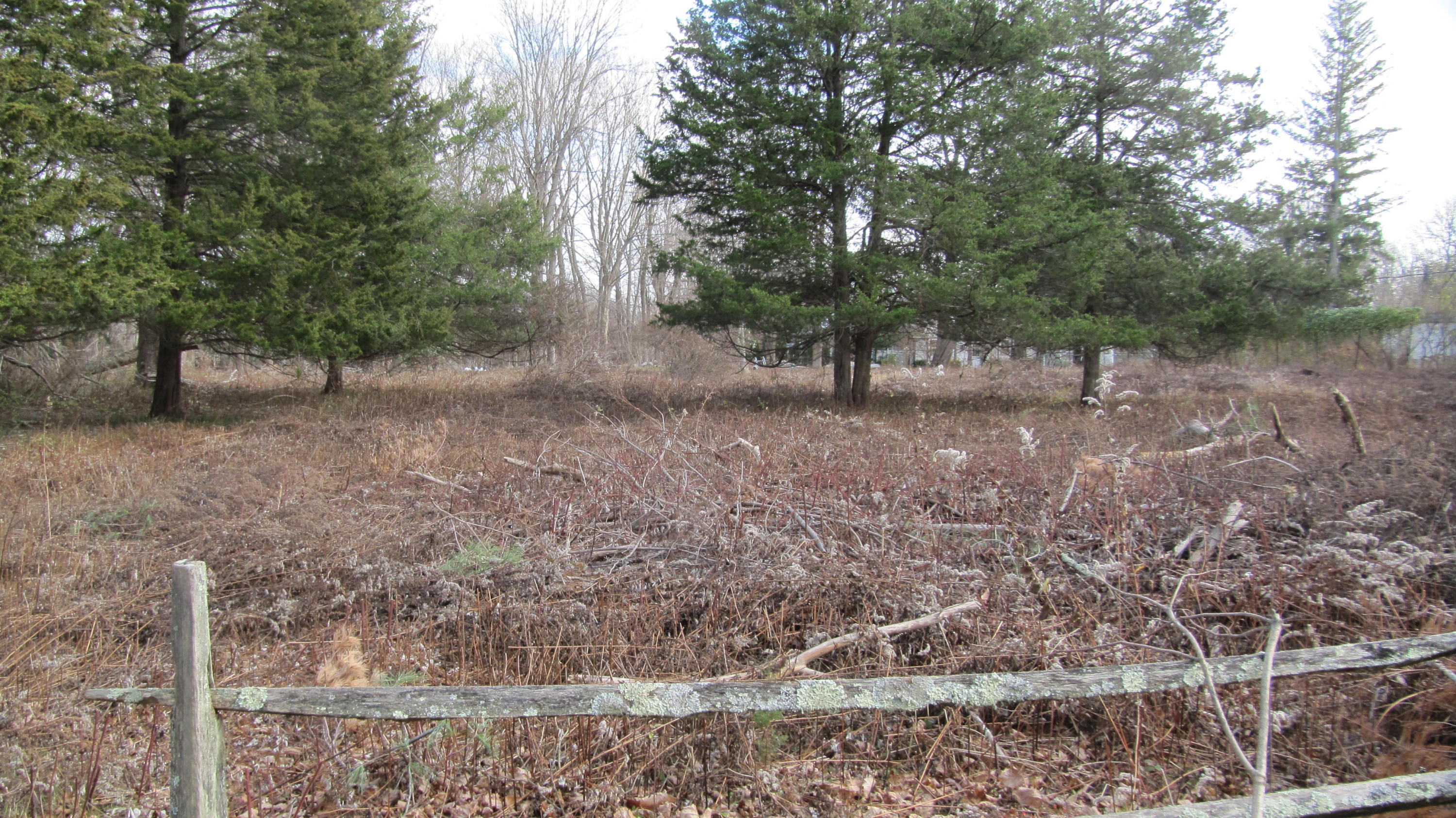 941 L Ponus Ridge Road New Canaan, CT 06840 - Photo 2 of 10 a view of a yard with large trees