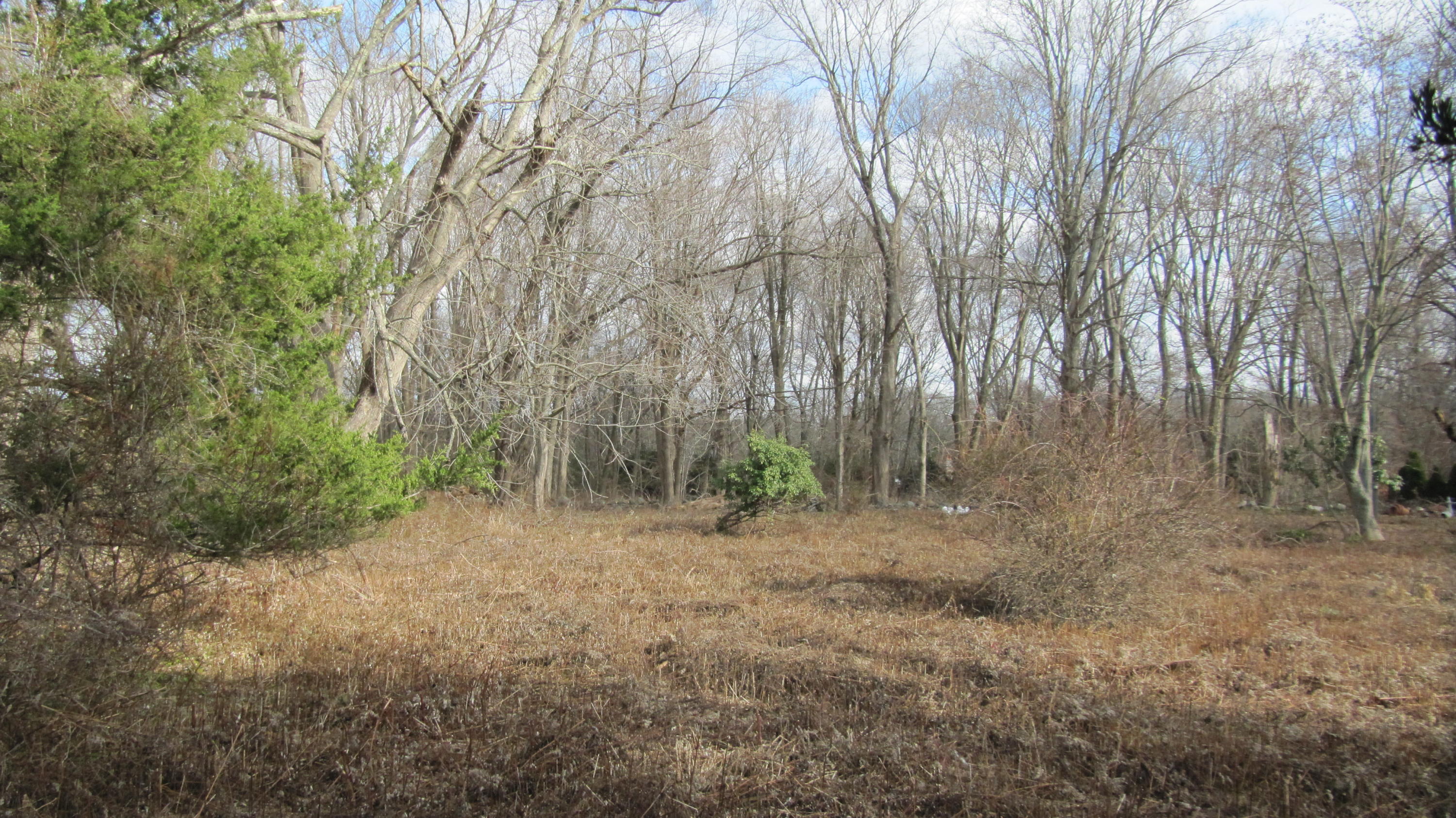 941 L Ponus Ridge Road New Canaan, CT 06840 - Photo 4 of 10 a backyard of a house with lots of green space