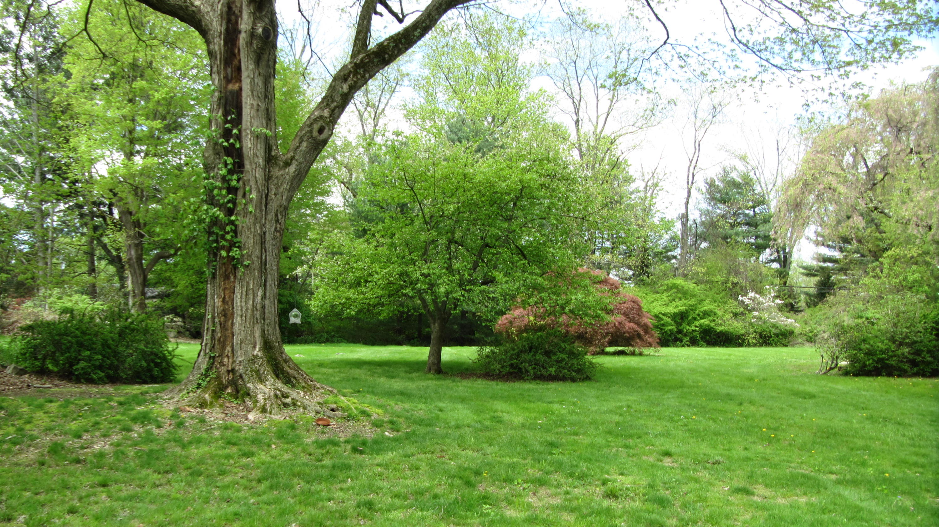 941 L Ponus Ridge Road New Canaan, CT 06840 - Photo 9 of 10 a view of outdoor space with a garden
