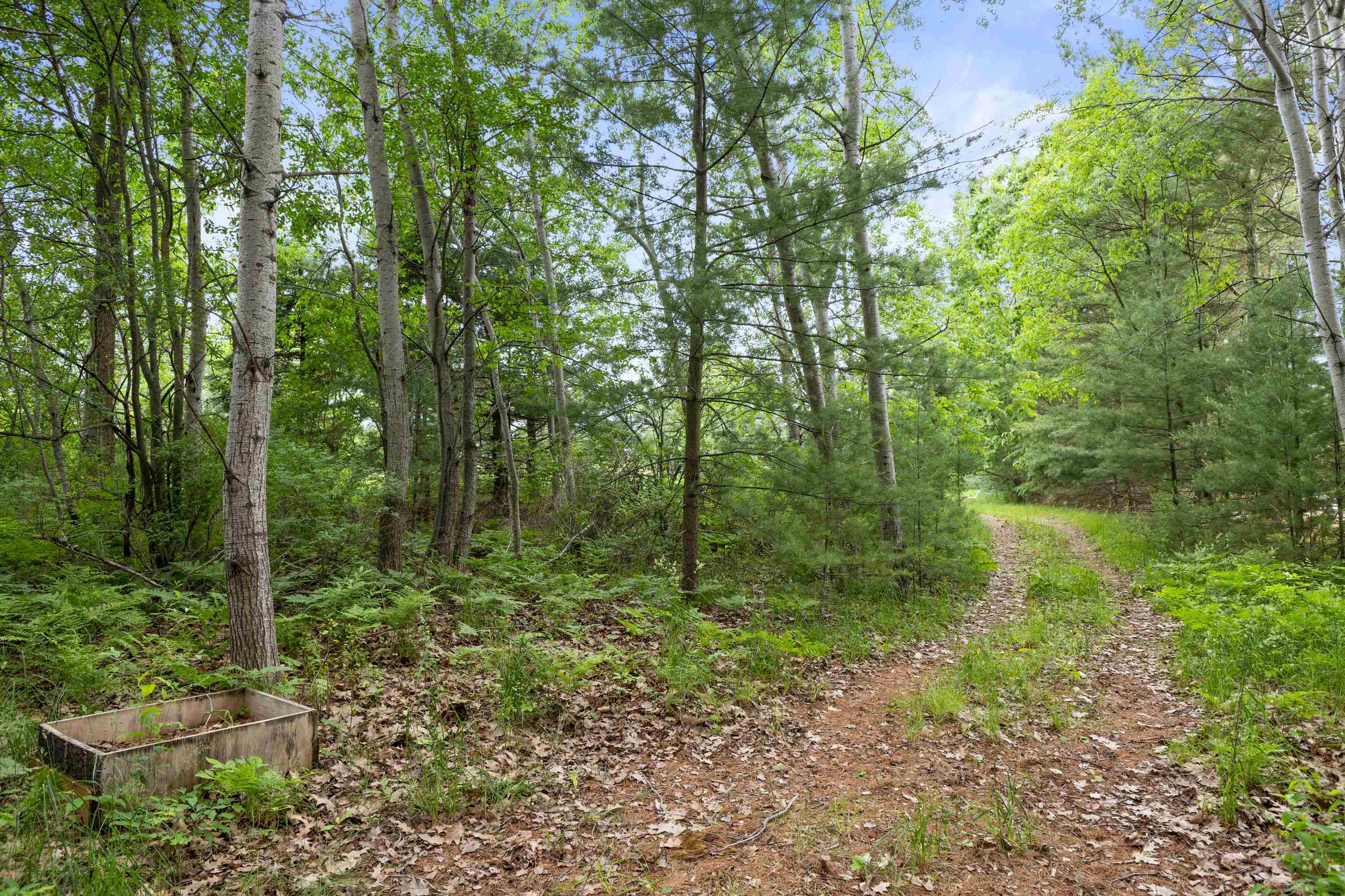 6983 Boone Road Traverse City, MI 49685 - Photo 23 of 50