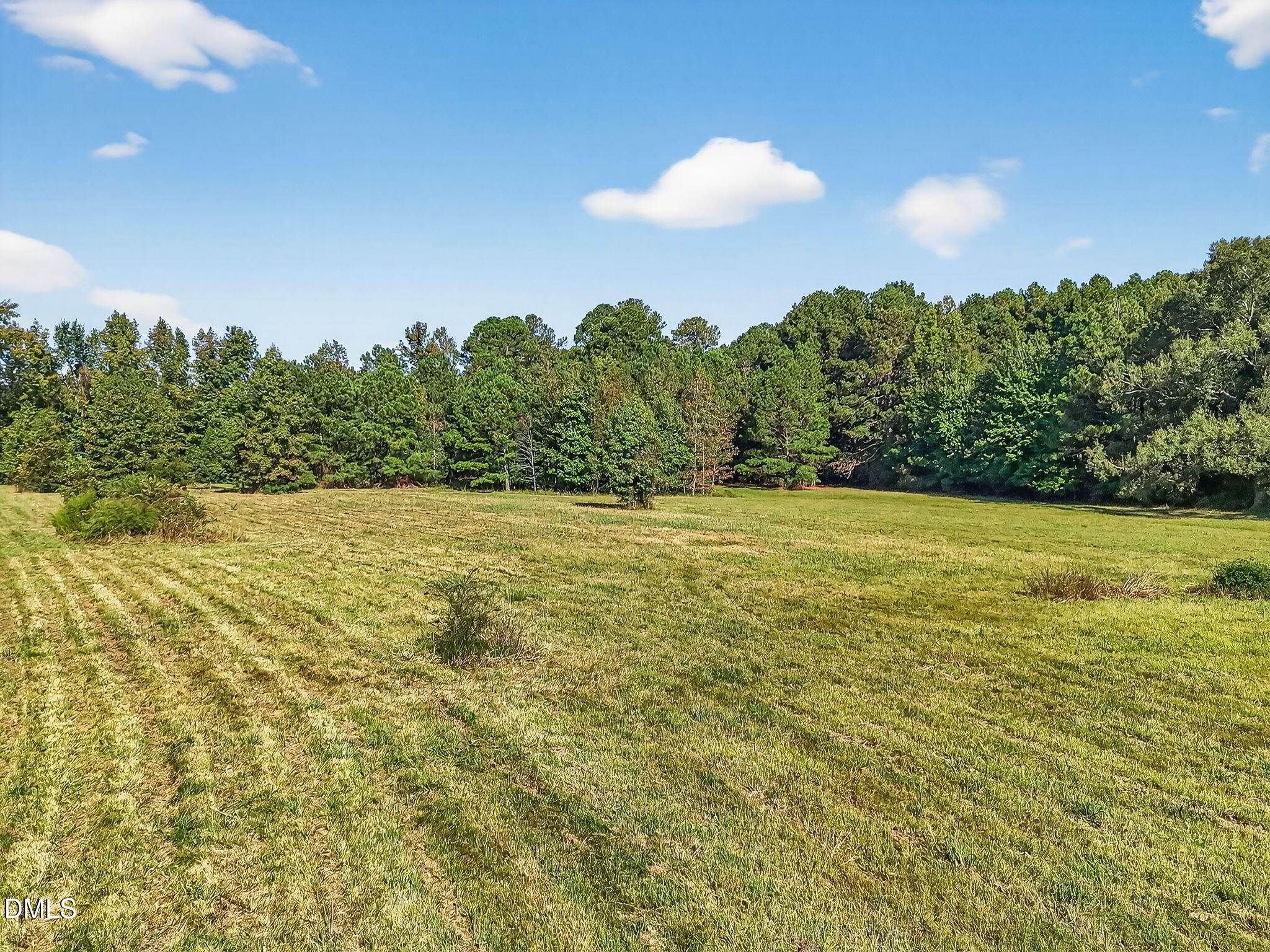350 Grantham School Road Goldsboro, NC 27530 - Photo 46 of 49