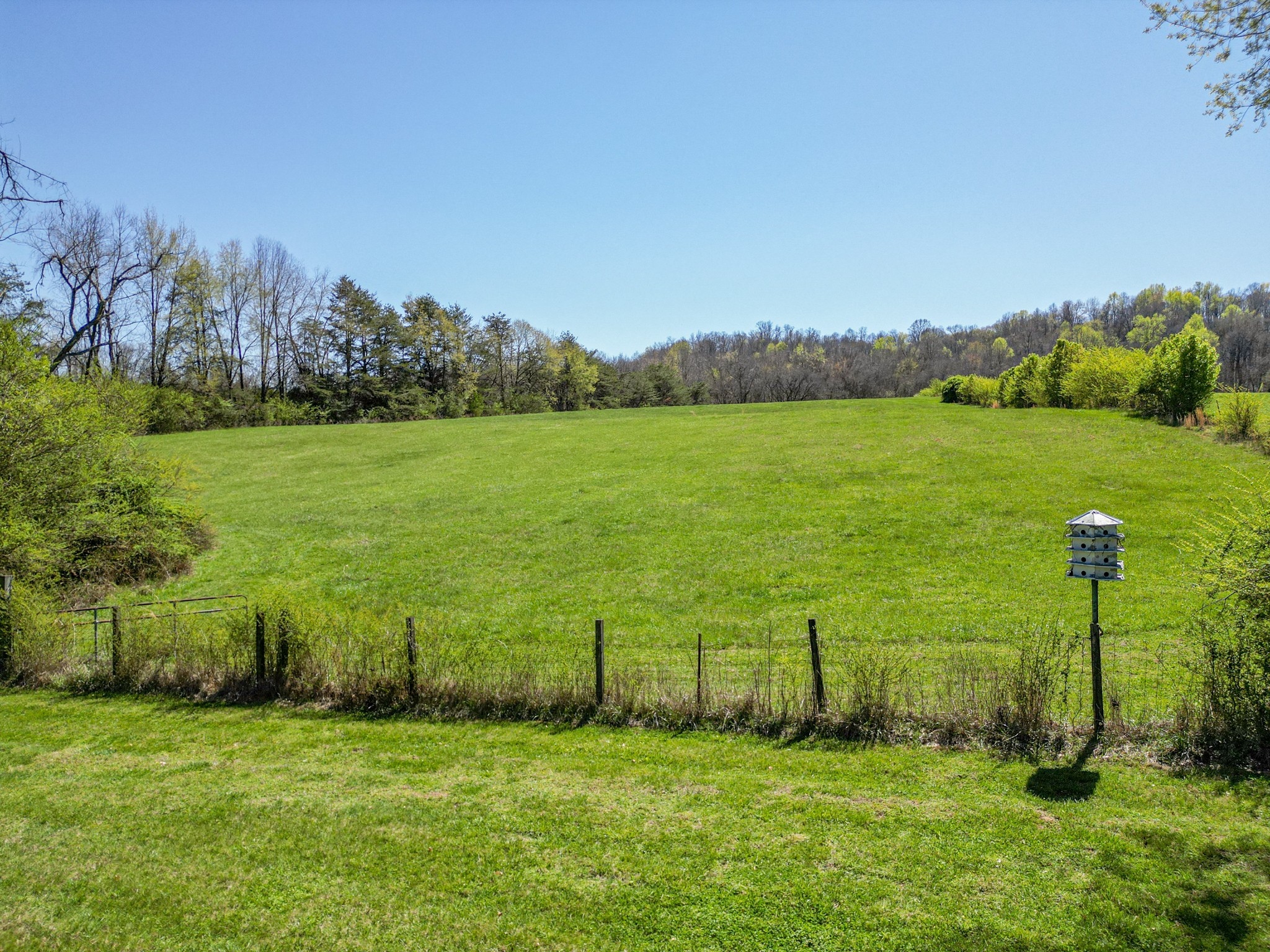 3165 Foster Chapel Road Columbia, TN 38401 - Photo 57 of 68 Gallery Image 57