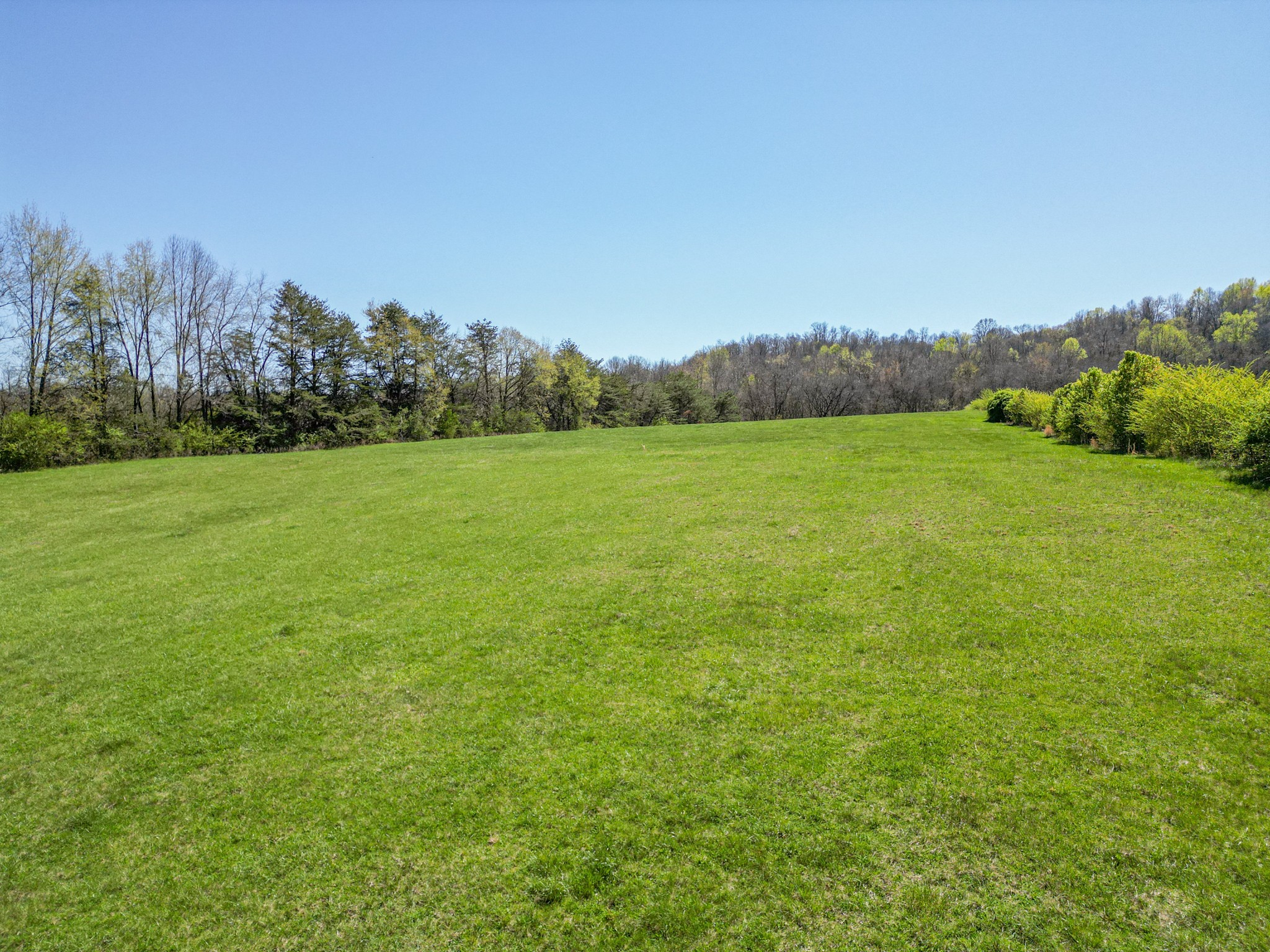 3165 Foster Chapel Road Columbia, TN 38401 - Photo 59 of 68 Gallery Image 59