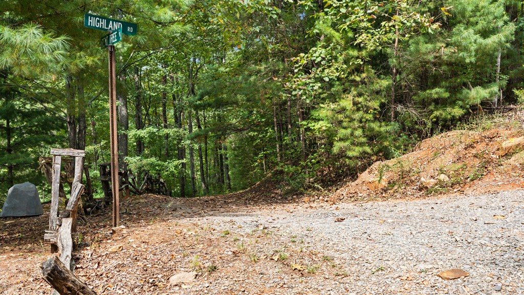 23 C Lake View Road Ellijay, GA 30540 - Photo 2 of 11 a view of a yard with plants and trees