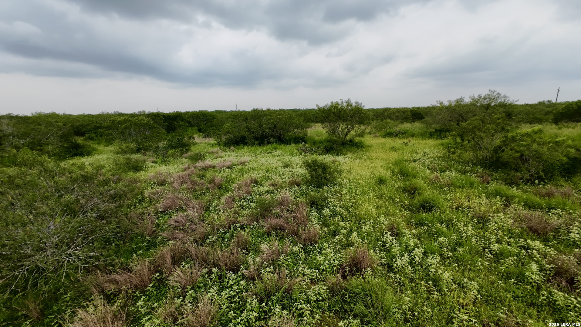 0 Farm To Market Rd 3249 Realitos, TX 78376 - Photo 5 of 14