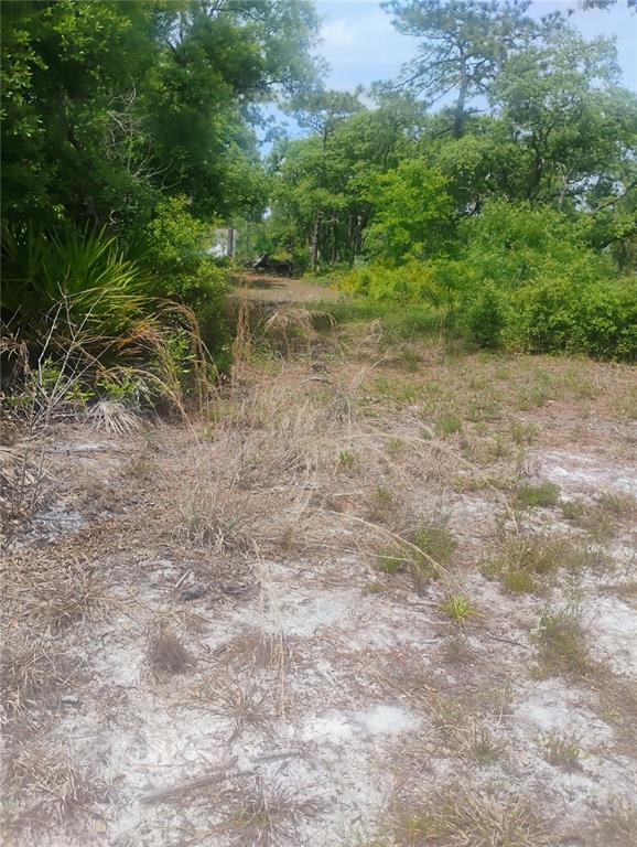 Brookside Cir Mount Mount Dora, FL 32757 - Photo 1 of 1 a view of a yard with a tree