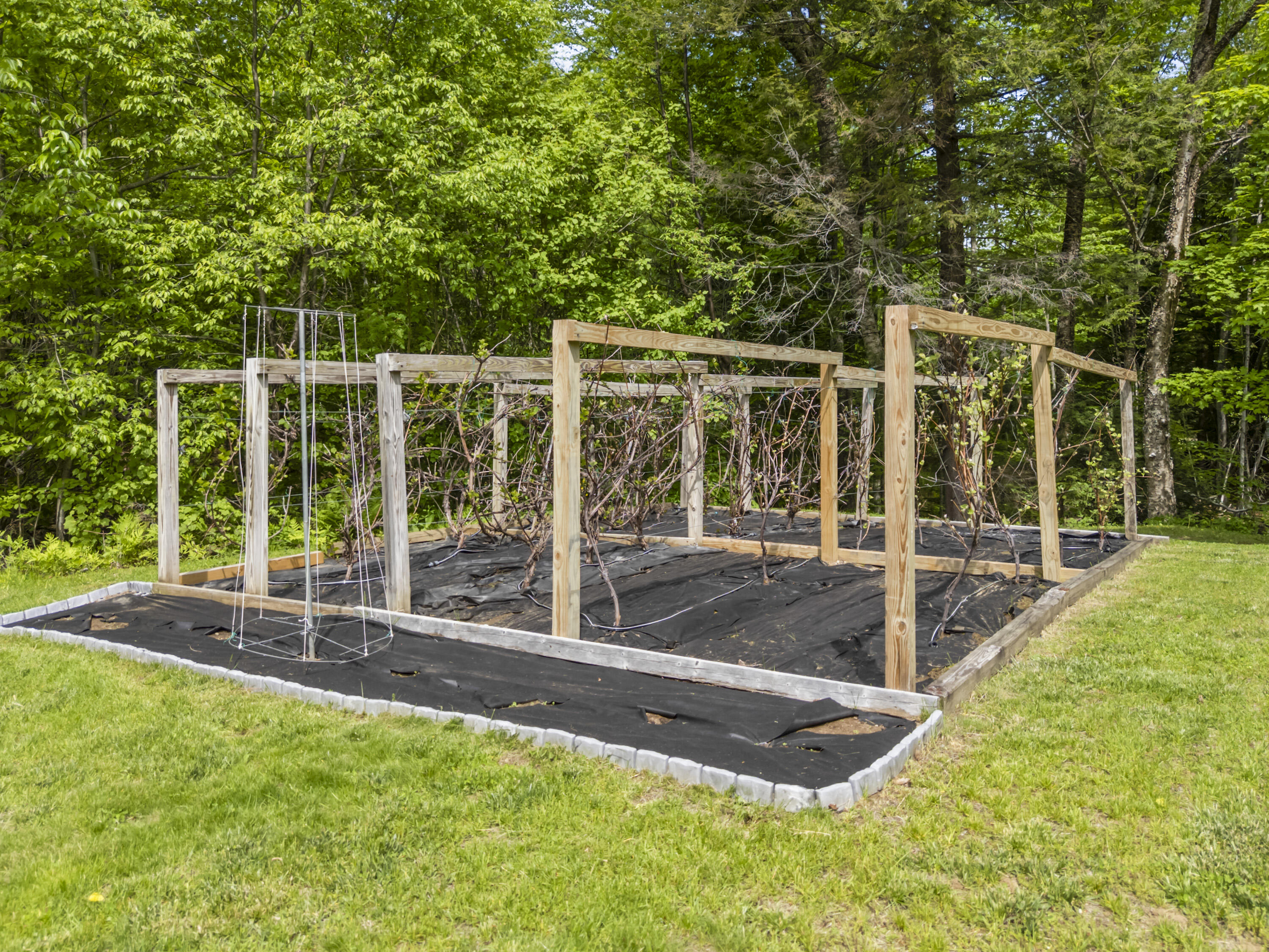 927 Federal Road Livermore, ME 04253 - Photo 49 of 59 927 Federal Rd_162