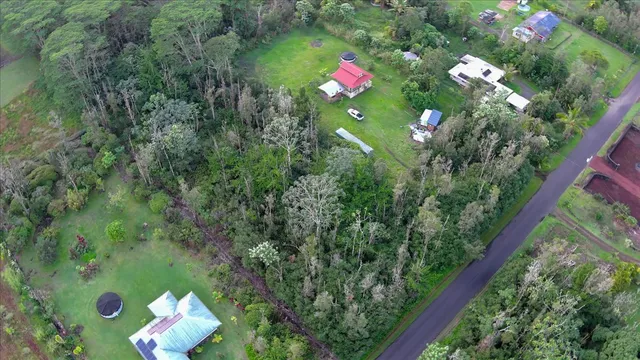 a close up of a flower in a garden