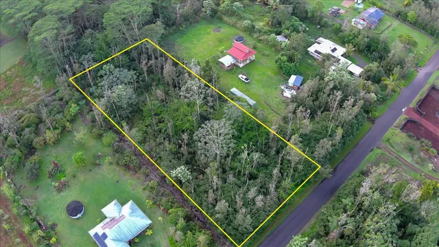 a view of a plant in a garden