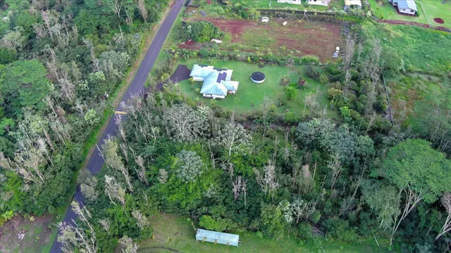 a view of flowers in a yard
