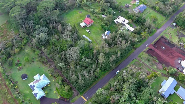 a picture of flowers