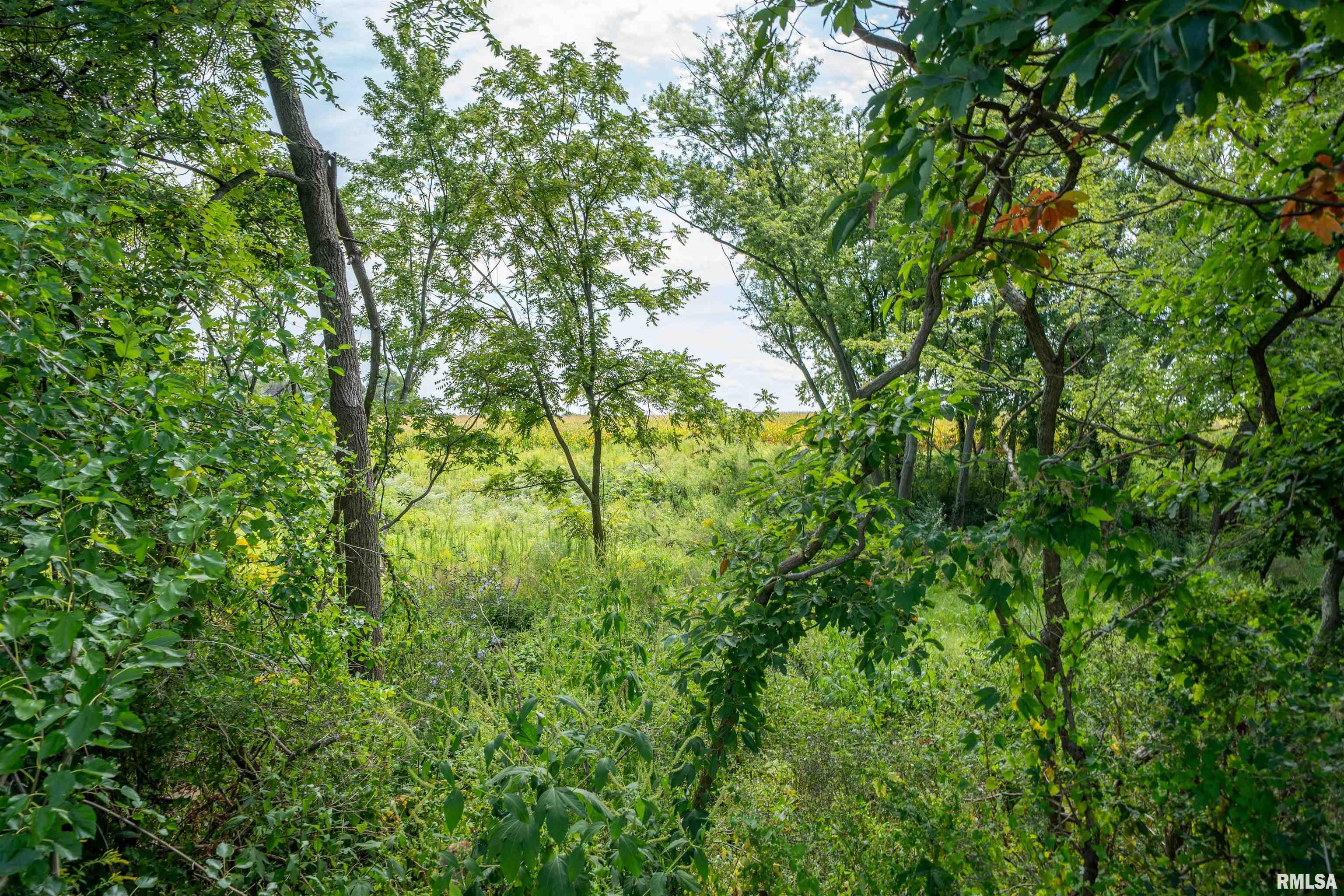 0 West Farmington Road Peoria, IL 61604 - Photo 18 of 22 Gallery Image 18
