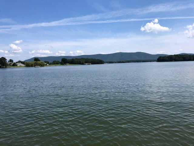 Lot 4-5 Tranquility Road Moneta, VA 24121 - Photo 8 of 16 Tranquility Mountain View #1