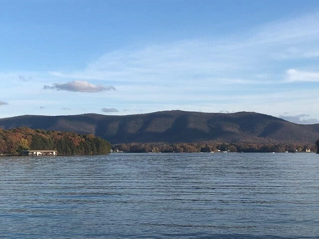 Lot 4-5 Tranquility Road Moneta, VA 24121 - Photo 10 of 16 Tranquility Mountain View #3