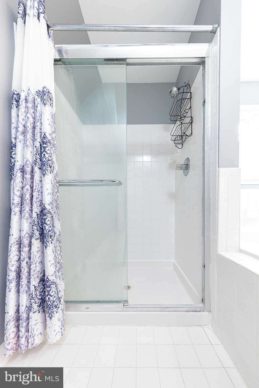 2314 Hurlingham Lane Reston, VA 20191 - Photo 17 of 40 Owner's Shower