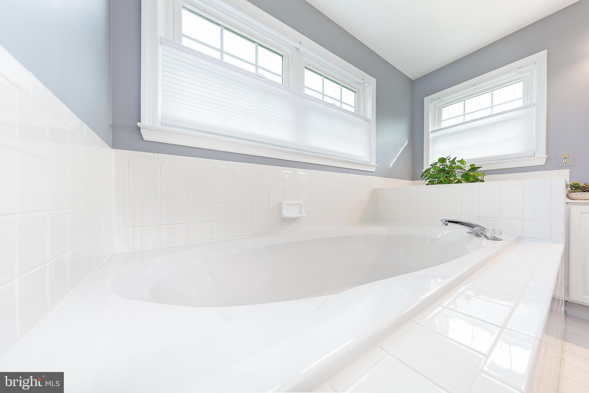 2314 Hurlingham Lane Reston, VA 20191 - Photo 18 of 40 Owner's Soaking Tub