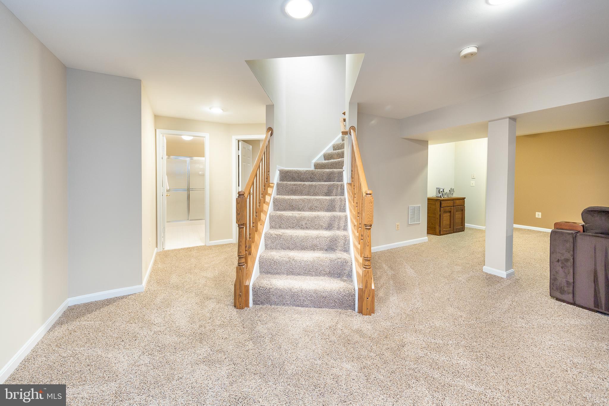 2314 Hurlingham Lane Reston, VA 20191 - Photo 26 of 40 Lower Level