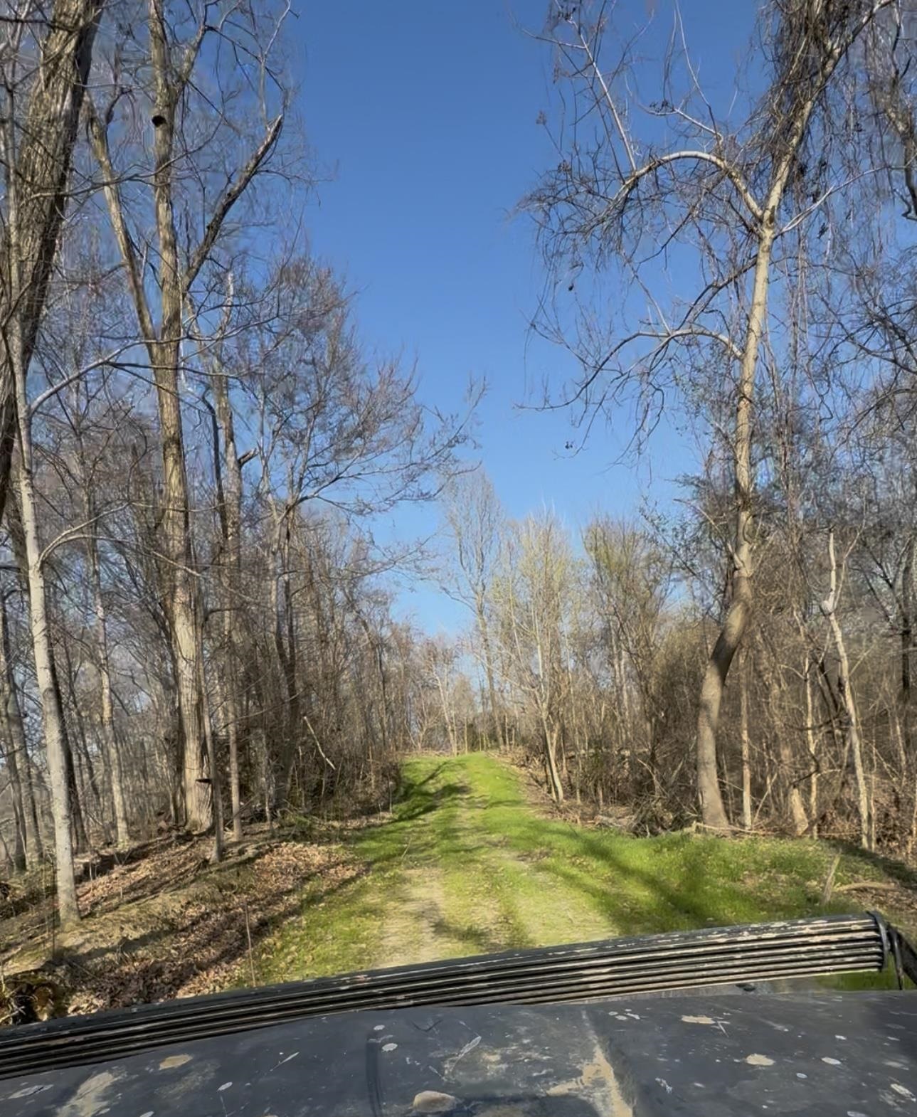 0 Sneed Road Drummonds, TN 38023 - Photo 13 of 20