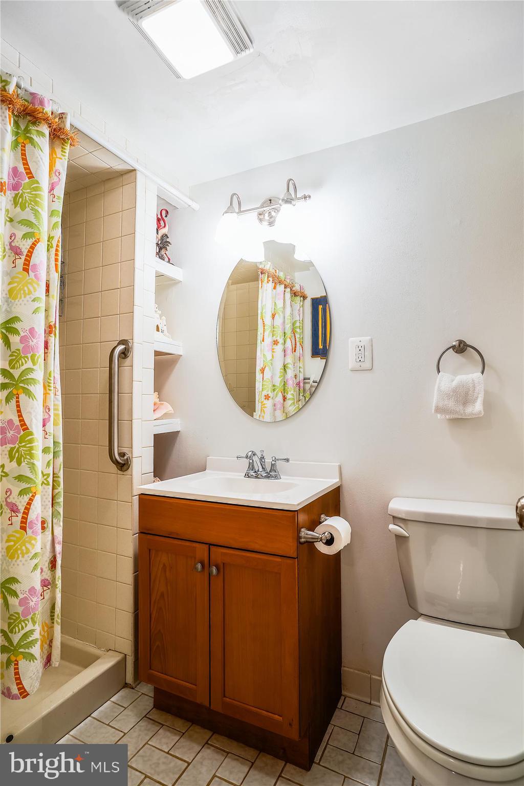 6610 Greenview Lane Springfield, VA 22152 - Photo 21 of 43 Full bathroom off the recreation room.
