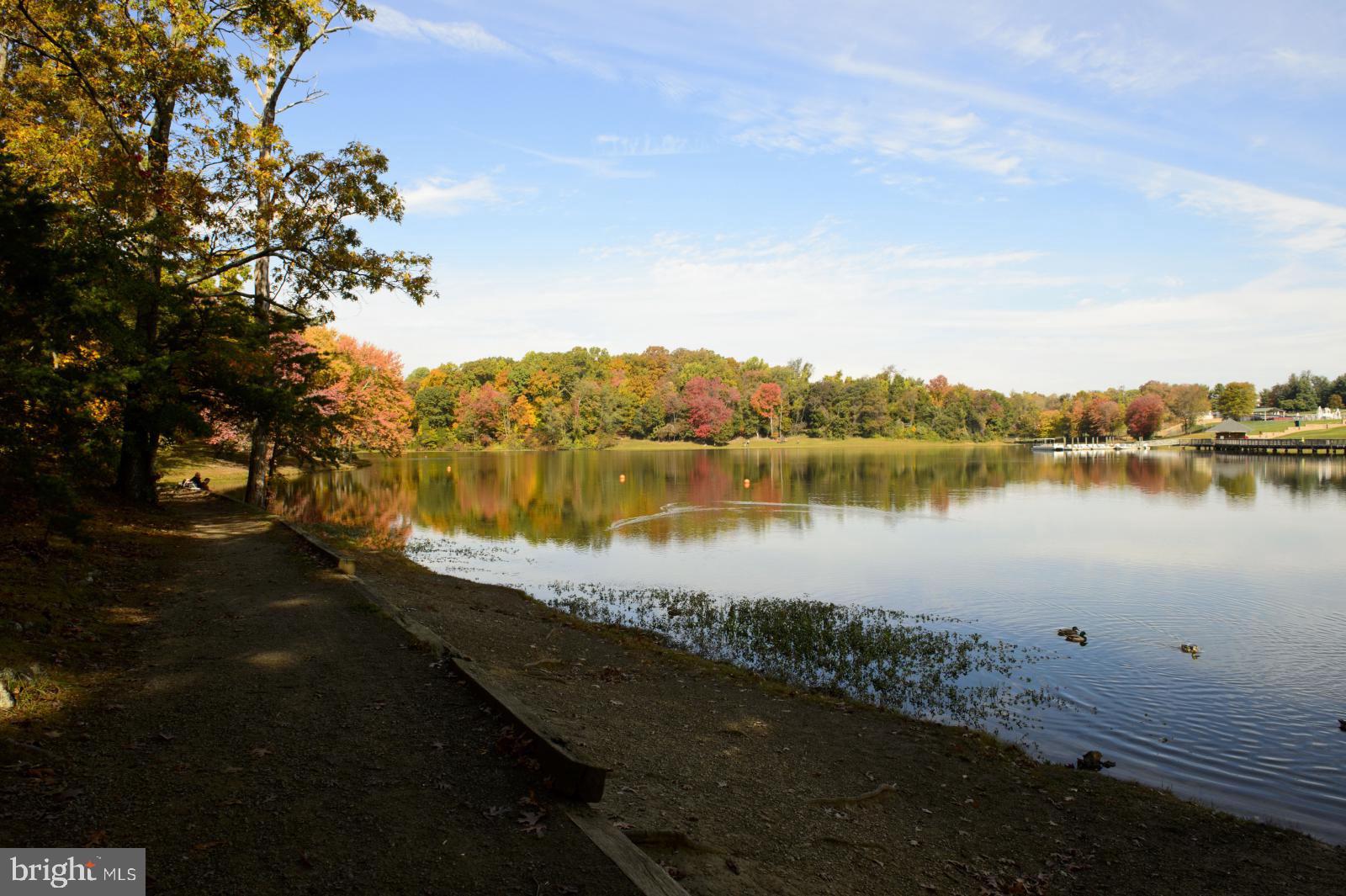 6610 Greenview Lane Springfield, VA 22152 - Photo 38 of 43 Beautiful Lake Accotink close by.