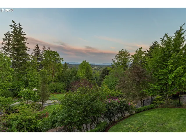 a view of a yard and an entryway