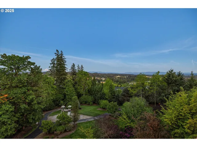 a view of a bunch of trees in a field