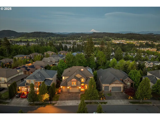 an aerial view of residential houses with outdoor space and ocean view