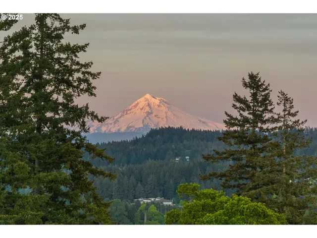 a view of a lake in middle of the forest