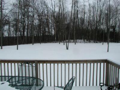 21650 13 Mile Road Bellevue, MI 49021 - Photo 4 of 9 Additional Photo