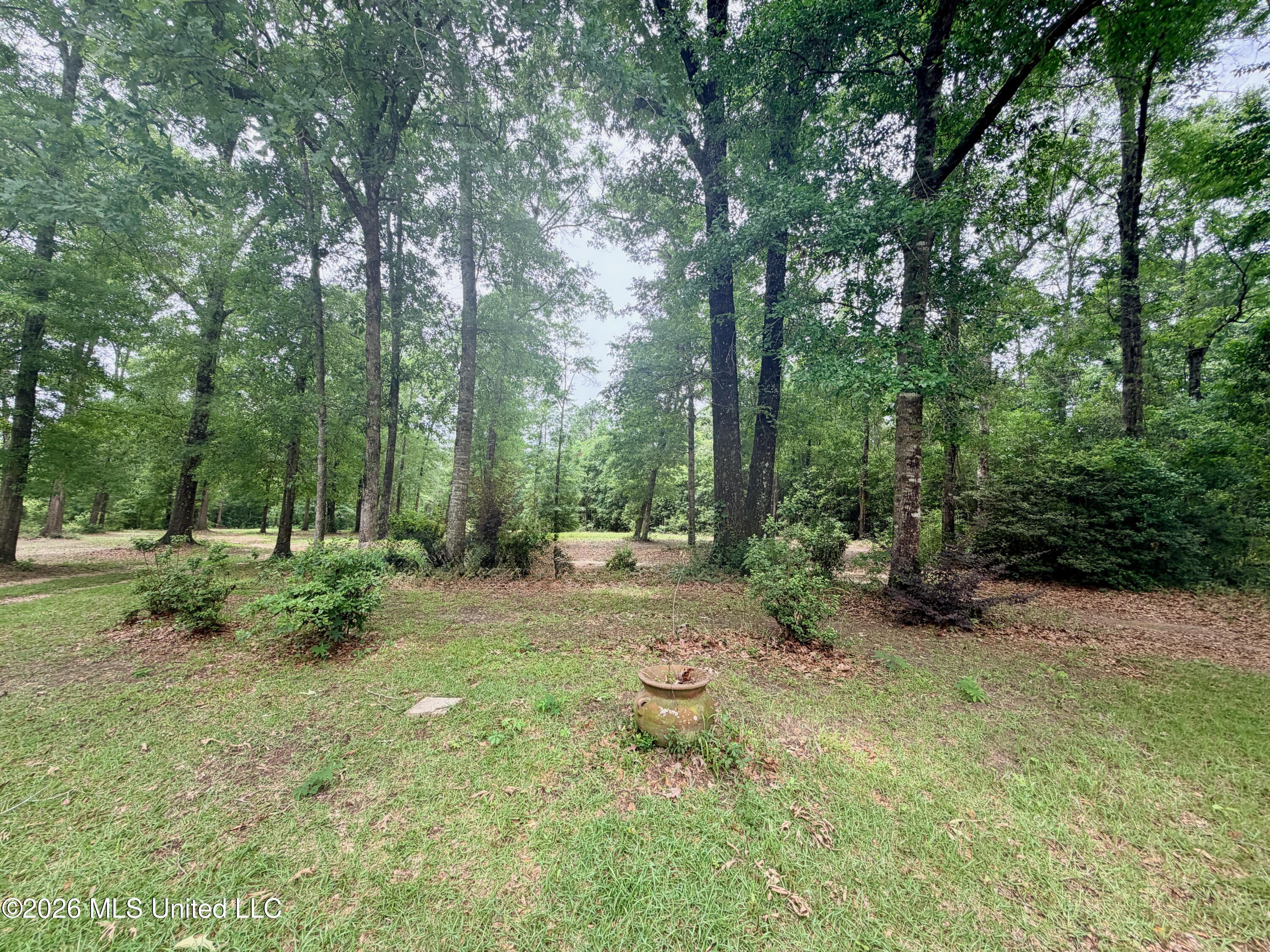 181 Geiger Road Lucedale, MS 39452 - Photo 22 of 32 IMG_9492