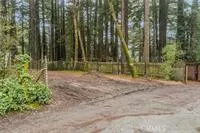 a view of backyard with green space