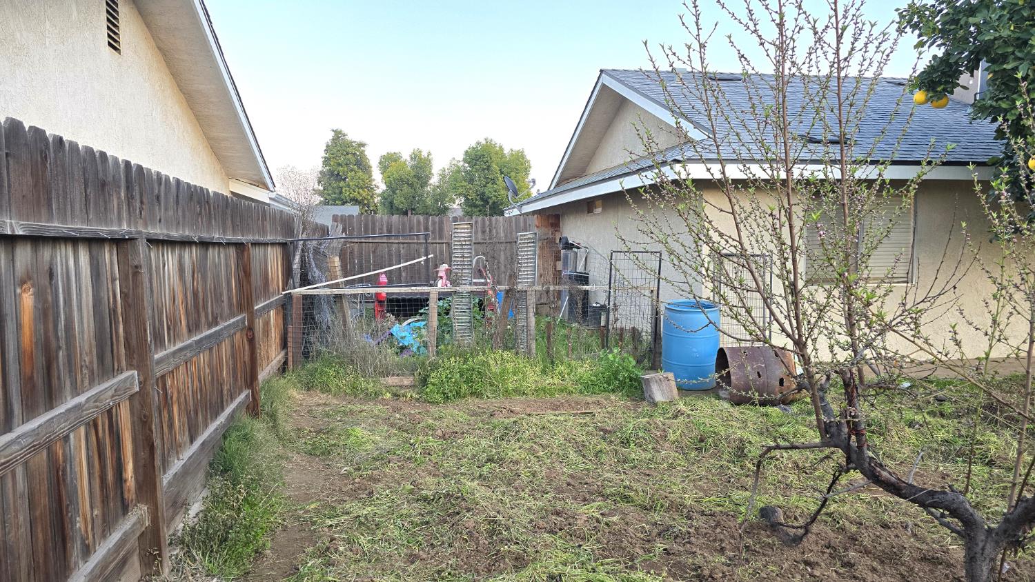 155 North Haney Avenue Reedley, CA 93654 - Photo 26 of 27 Backyard View 3 South Side Big Enough For RV-etc.