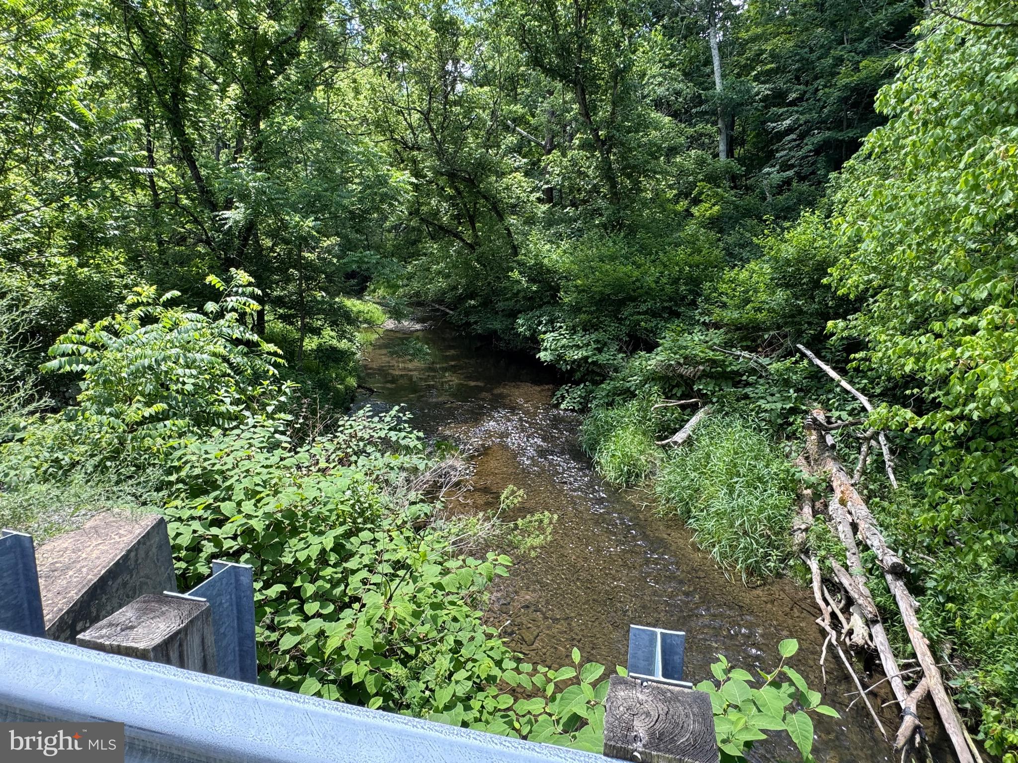 Sand Mine Rd Creek, Unit BY Berkeley Springs, WV 25411 - Photo 5 of 11