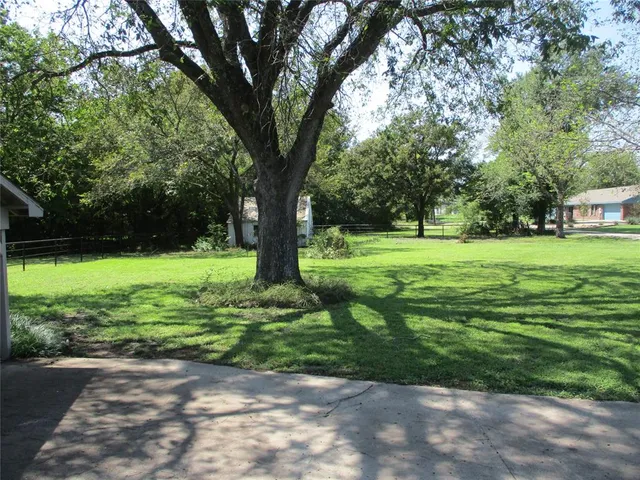a view of a backyard