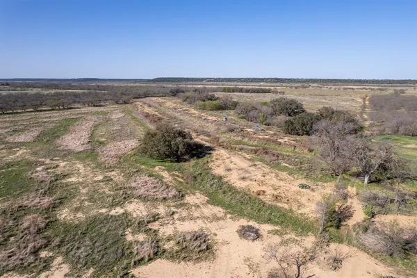 a view of a dry yard with trees